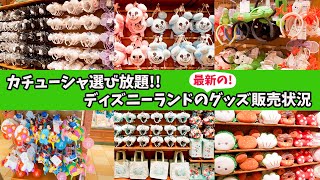 【最新情報】東京ディズニーランドのグッズの販売状況、在庫情報