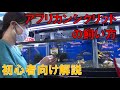 アフリカンシクリッドの飼い方【2022/1/25 放送】ペットずかん ＃ 32