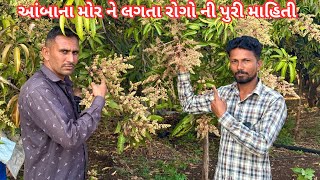 આંબાના મોર ને લગતા રોગો ની પુરી માહિતી || #mango #mangofarming #khedut #gir