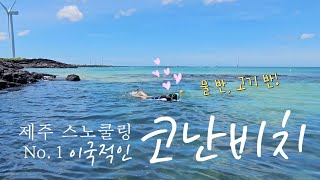 [Jeju Vlog] 스노쿨링 명소🤿 코난비치🌊 | 다양한 물고기 여기가 최고! | 주차, 샤워장, 물품 대여 정보💥