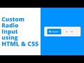 Create Custom Animated Radio Input using HTML & CSS