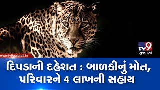 Leopard kills 5-yrd old kid, Guj govt gives Rs 4 lakh compensation to kin |Surat