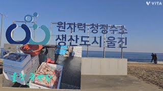 울진 죽변항 대게 먹거리