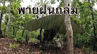 ลุยเดี่ยว..!!! ค้างคืนในป่าท่ามกลางพายุฝน 3วัน2คืน โดนพายุฝนถล่มอย่างหนัก หาของป่ามาทำอาหาร| นอกบ้าน