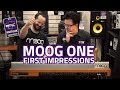 Moog One Analog Synthesizer First Impressions & Review