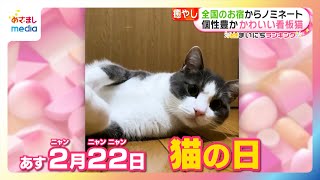 2月22日は猫の日！全国の宿で旅行客を癒す看板猫TOP5を紹介【まいにちランキング】