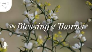 The Blessing of Thorns, Ep. 2: Overflowing with Joy