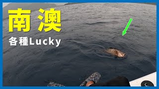 [SUP Fishing] 釣很多也掉很多! 久違的南澳也久違的石斑哈哈 南澳SUP釣遊 I 대만 이란 난아오 SUP 패들보드 근해 루어낚시