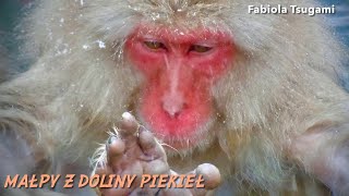 Małpy w niebie. Monkeys in Heaven (English Subtitles)