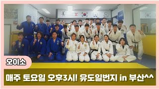 [유도동호회]매주 토요일 오후3시 유도일번지 in 부산