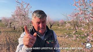 Pruning almond trees in Macedonia