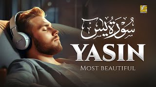 Relaxing Surah Yasin (Yaseen) سورة يس | Fill your heart with peace and tranquility | Zikrullah TV