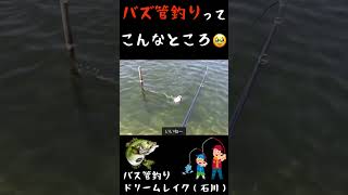 バス管釣りってこんなところ（石川ドリームレイク） #バス釣り