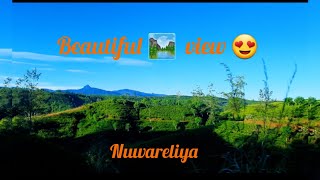 Don't  Missed this video | Wow Amazing view Nuwareliya | அழகான இடம்#nuwaraeliya #nature#hillcountry