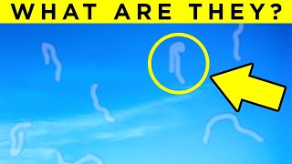 What are Those Floaty Things in Your Eye? Fact Show 8