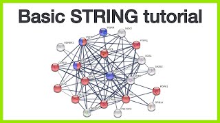Basic STRING tutorial: Protein query, network views, query parameters, and enrichment visualization