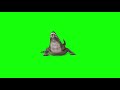 crocodile or alligator green screen videos part 1 copyright or royalty free videos freesource