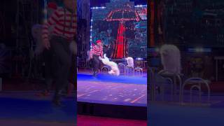 Incredible Backflipping Dog at Garden Brothers Circus | Must-See Performance!