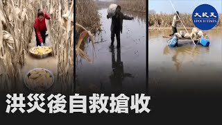 2021年苦難的河南人，洪災後自救搶收| #香港大紀元新唐人聯合新聞頻道