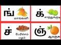 Mei ezhuthukal.மெய்யெழுத்துக்கள் பழங்களின் பெயர்கள்.Let's learn TAMIL LETTERS. FRUITS NAMES IN TAMIL