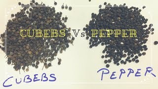 HOW TO FIND DIFFERENCE BETWEEN CUBEB AND PEPPER || வால்மிளகு Vs மிளகு