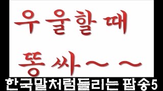 한국말처럼 들리는 팝송모음5회