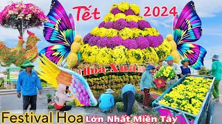 Từ Làng Hoa Chợ Lách Bến Tre Về Làng Hoa Sa Đéc tết 2024