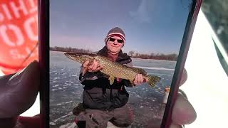 Super Bowl Sunday Walleye. A Short Story