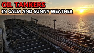 Oil Tankers in Calm and Sunny Weather | Compilation of TORM Ships in Nice and Pleasant Weather