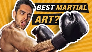 RANKING Martial Arts Styles! (22 Fighting Style Tier List) - Worst to Best