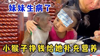 小猴子卖西瓜，挣钱后买肉买菜，带回家给妹妹补充营养