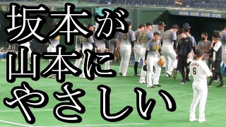 坂本勇人がやさしい｡山本泰寛にあいさつされて､坂本が一声かける