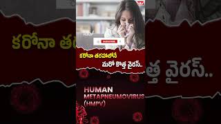 కరోనా తరహాలోనే మరో కొత్త వైరస్.. #hmpv #chinavirus #shorts #idtvtelugu