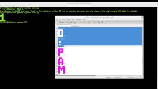 Python - Create a simple Terminal clock