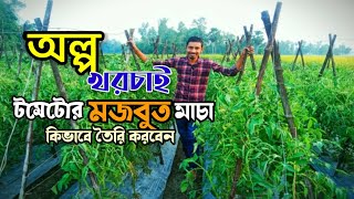 এই পদ্ধতিতে টমেটোর মাচা। দিলে গাছ প্রতি ফলন বাড়বে 2 কেজি হারে, টমেটোর মাচা তৈরির সঠিক পদ্ধতি