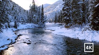 4K White Forest River | Snowy Mountain Sunset | Winter Nature Ambience