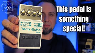 Tera Echo - The BEST BOSS Stompbox Effect