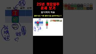 2025년 을사乙巳년 정묘일주 운세_묘사격각 작용  #을사년운세  #25년운세