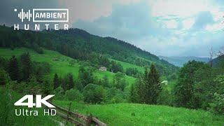 Sound of Carpathian Mountains - 2 Hours of Birdsong - 4K Video