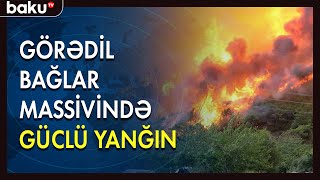 Görədil bağlar massivində güclü yanğın baş verib - BAKU TV