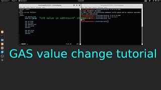 GAS x64 GNU Assembler variable value change tutorial in Linux
