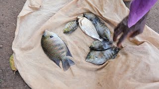 कोकण, गड नदीतील मासेमारीचा 🐠🐟🐟🦐🐡चा अनुभव - अनंत येलोंडे River Fishing Experience