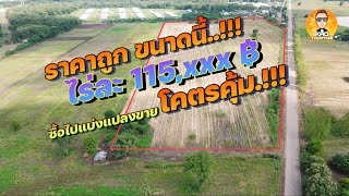 ขายที่ 60 ไร่ ราคาถูก ต.ศิลาทิพย์ อ.ชัยบาดาล จ.ลพบุรี | เก้าทั่วไทย KAO TOUR THAI