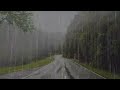 rain sound to calm the mind and sleep deeply in 6 minutes rain in the forest asmr