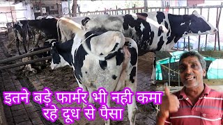 इतने बड़े फार्मर भी नही कमा रहे दूध से पैसा// Jaish Bhai Patel Dairy Farm Anand Gujarat