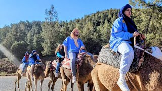 The Amazing Ourika Falls, Morocco 4K | A Must-visit Site From Marrakech