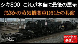 ｼｷ800　これが本当に最後の展示　まさかの蒸気機関車D51との共演　京都鉄道博物館