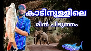 കാട്ടിനുള്ളിലെ ഒരു മീൻ വേട്ട /AR fishing tricks