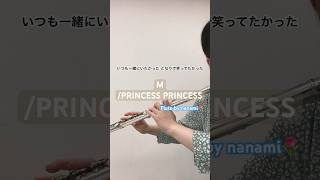 M/PRINCESS PRINCESS【演奏してみた】【フルート】