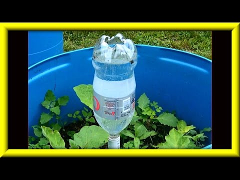 Soda Bottle Watering System For Growing Plants In Containers Soda Bottle Watering System For Growing Plants In Containers